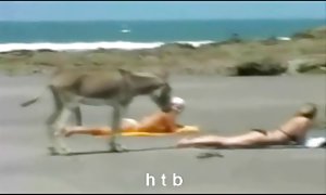 من به شما قهوه می دهد و من خودم را به شما بدهد.