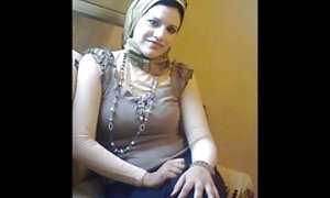 سگ های اشتها آور در ورزشگاه