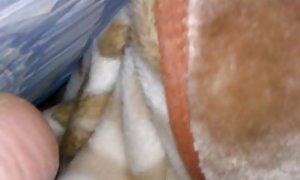 لزبین با یک تمایل روشن به راضی
