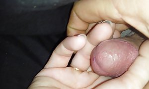 یک گروه از تلیسه لجام گسیخته