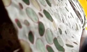دختر در خالکوبی آمد به ریخته گری