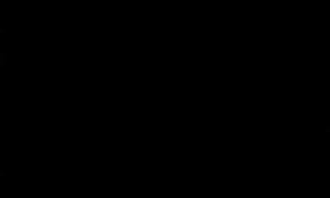 ارزان پوست عنوان و می شود یک